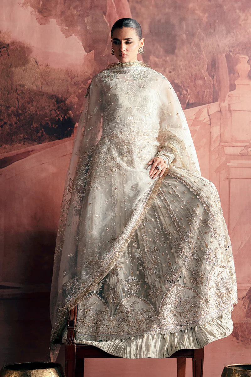 Model wearing Chandni embroidered net outfit with intricate embellishments and elegant details.