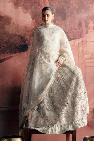 Model wearing Chandni embroidered net outfit with intricate embellishments and elegant details.